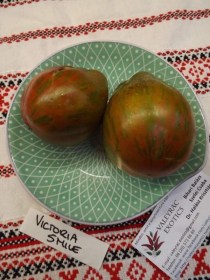 Victoria Smile paradicsom  - Paradicsom különlegességek az Egzotikus Növények Stúdiója kínálatából
